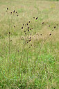 BUITEN BEELD Foto: 441710