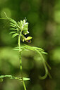 BUITEN BEELD Foto: 441713