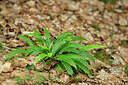 BUITEN BEELD Foto: 441714