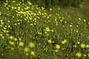 BUITEN BEELD Foto: 441715