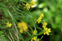 BUITEN BEELD Foto: 441717