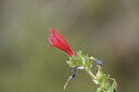 BUITEN BEELD Foto: 441718