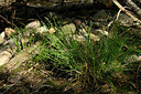 BUITEN BEELD Foto: 441722