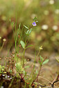 BUITEN BEELD Foto: 441725