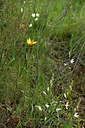 BUITEN BEELD Foto: 441726