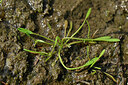 BUITEN BEELD Foto: 441730