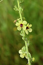 BUITEN BEELD Foto: 441734