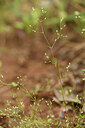 BUITEN BEELD Foto: 441736