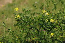BUITEN BEELD Foto: 441738