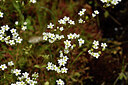 BUITEN BEELD Foto: 441740