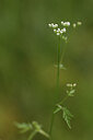 BUITEN BEELD Foto: 441745