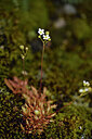 BUITEN BEELD Foto: 441746