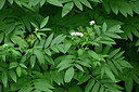 BUITEN BEELD Foto: 441754