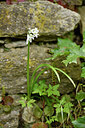 BUITEN BEELD Foto: 441755