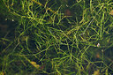 BUITEN BEELD Foto: 441757