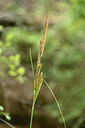 BUITEN BEELD Foto: 441758