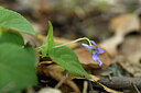BUITEN BEELD Foto: 441759