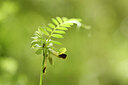 BUITEN BEELD Foto: 441761