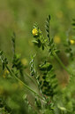 BUITEN BEELD Foto: 441766