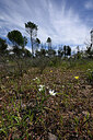 BUITEN BEELD Foto: 441769