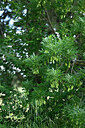 BUITEN BEELD Foto: 441776