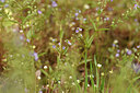 BUITEN BEELD Foto: 441780