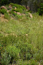 BUITEN BEELD Foto: 441781