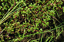 BUITEN BEELD Foto: 441782