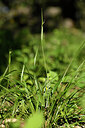 BUITEN BEELD Foto: 441784