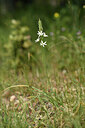 BUITEN BEELD Foto: 441786