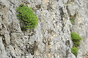 BUITEN BEELD Foto: 441789