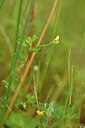 BUITEN BEELD Foto: 441794
