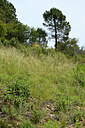 BUITEN BEELD Foto: 441795