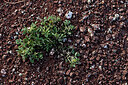 BUITEN BEELD Foto: 441801