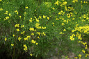 BUITEN BEELD Foto: 441802