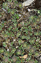 BUITEN BEELD Foto: 441806