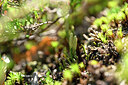 BUITEN BEELD Foto: 441809