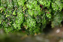 BUITEN BEELD Foto: 441816
