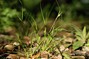 BUITEN BEELD Foto: 441821