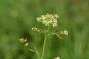 BUITEN BEELD Foto: 441824