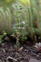 BUITEN BEELD Foto: 441826