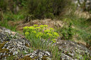 BUITEN BEELD Foto: 441828