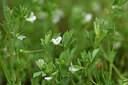 BUITEN BEELD Foto: 441832