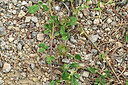 BUITEN BEELD Foto: 441833