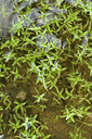 BUITEN BEELD Foto: 441834