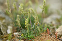 BUITEN BEELD Foto: 441836