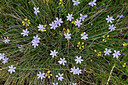BUITEN BEELD Foto: 441841