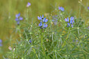 BUITEN BEELD Foto: 441846