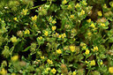 BUITEN BEELD Foto: 441848
