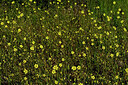BUITEN BEELD Foto: 441850